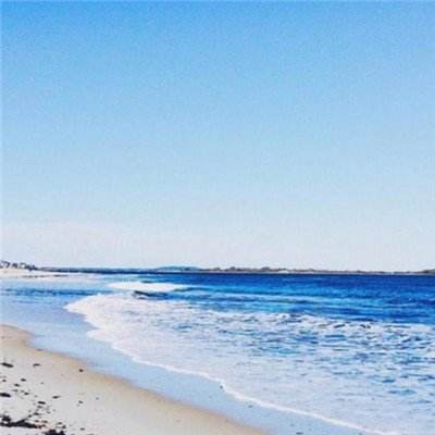 2023澳门资料大全正版app下载截图