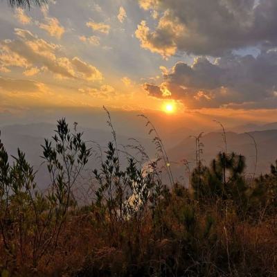 2023澳门资料大全正版app下载