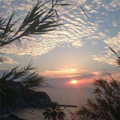 关于“开云电竞APP”