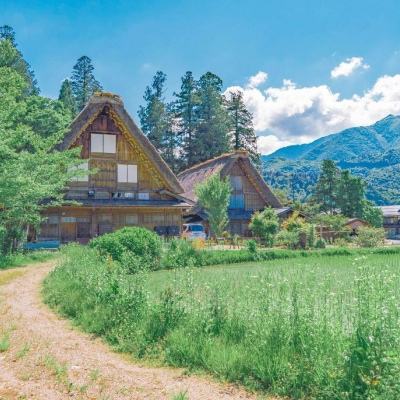 AOA体育登录入口下载手机版