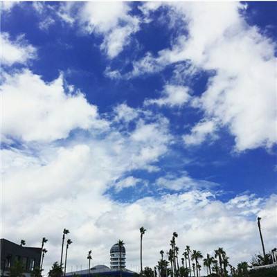 澳门正版资料大全