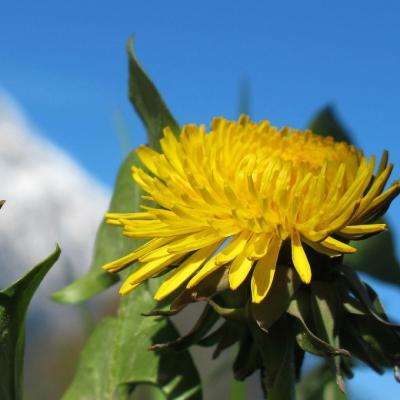 宝威体育手机app下载