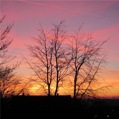 2023澳门资料大全正版app下载