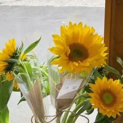 亚洲体育官网登录